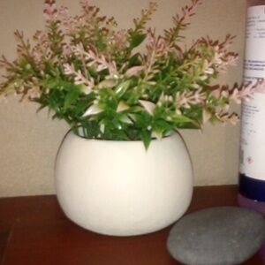 Cute Plant Room Decor 🌿🌷